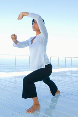 Tai Chi Punc